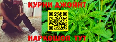 крисы Камышлов