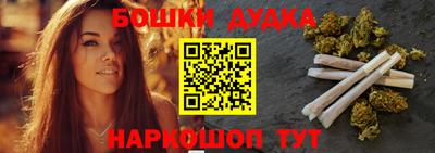 крисы Камышлов