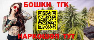 крисы Камышлов