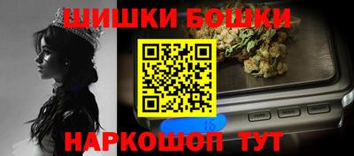 крисы Камышлов