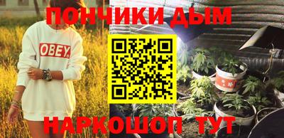 крисы Камышлов