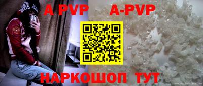 крисы Камышлов