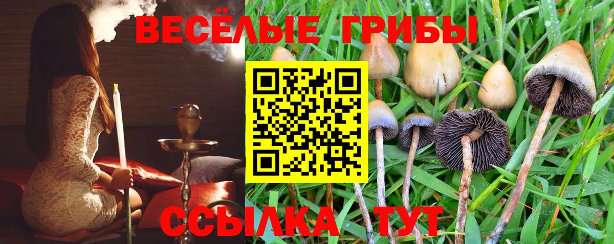 Краснокаменск  Галлюциногенные грибы GOLDEN TEACHER  Вход с VPN 