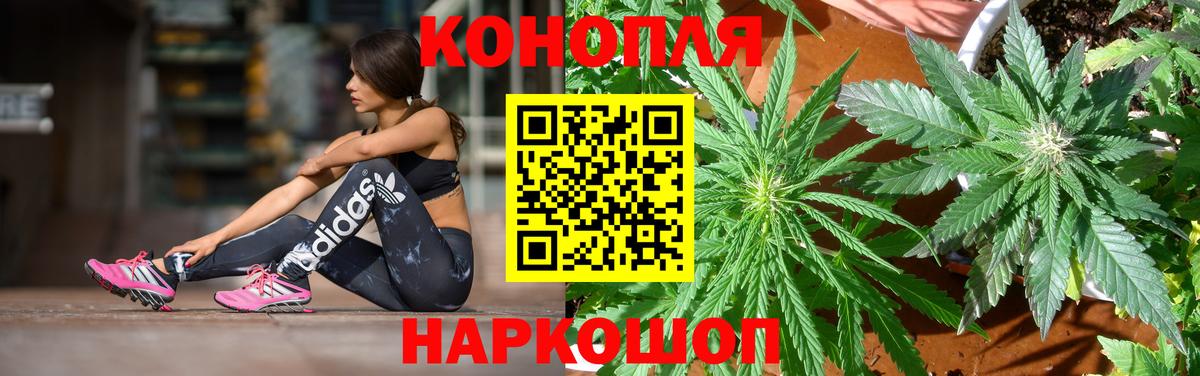 Конопля конопля Краснокаменск